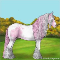 Horse Color:Watercolor Black Tobiano 