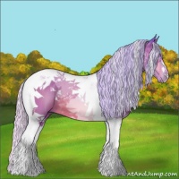 Horse Color:Watercolor Silver Bay Tobiano 