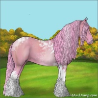 Horse Color:Watercolor Grullo Tobiano 