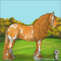 Horse Color:Watercolor White Spotted Liver Chestnut 