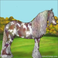 Horse Color:Nacre White Spotted Chocolate Silver Brown