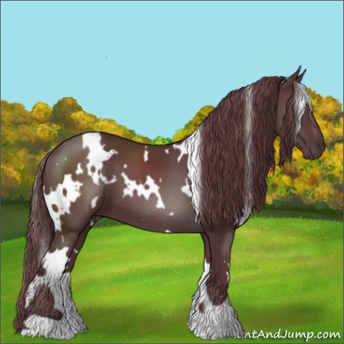 Horse Color:White Spotted Chocolate Black 
