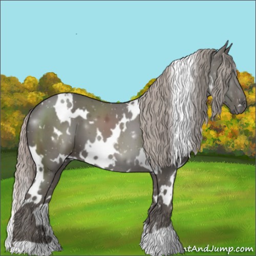 Horse Color:White Spotted Silver Black