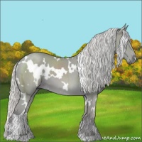 Horse Color:Watercolor White Spotted Silver Smoky Black