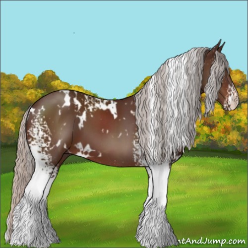 Horse Color:White Spotted Silver Brown 