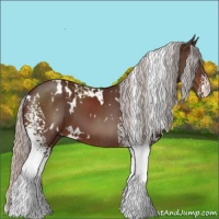 Horse Color:White Spotted Silver Brown