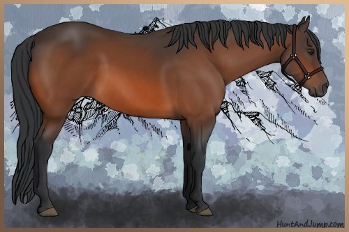 Horse Color:Brown 