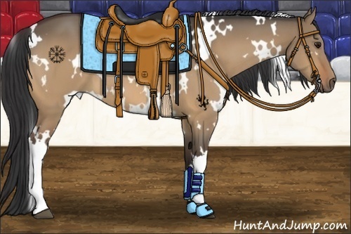 Horse Color:White Spotted Bay Dun 