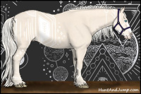 Horse Color:Cremello Splash  and Cremello Splash 