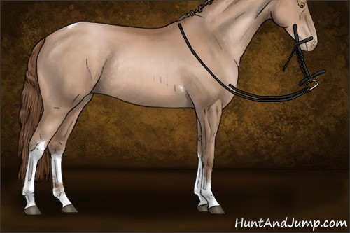 Horse Color:Bay Pearl Sabino Tobiano Rabicano 