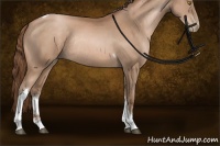 Horse Color:Bay Pearl Sabino Tobiano Rabicano 