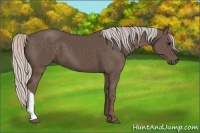 Horse Color:Silver Black 