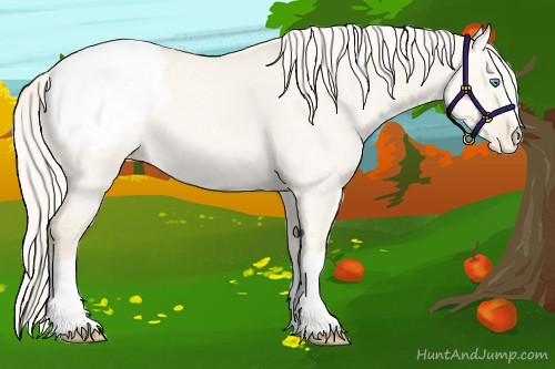 Horse Color:Cremello Dun Varnish