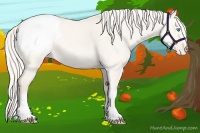 Horse Color:Cremello Dun Varnish 
