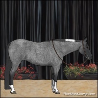 Horse Color:Blue Roan Tobiano 