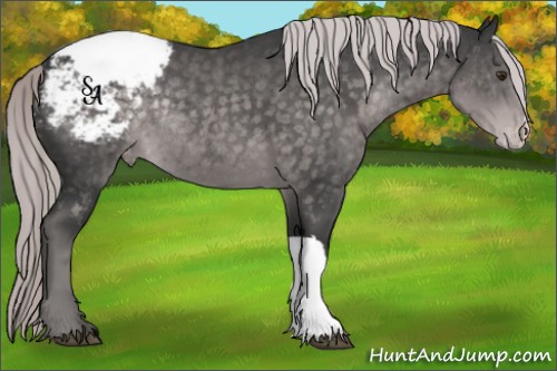 Horse Color:Platinum Chocolate Palomino Snowcap Rabicano 