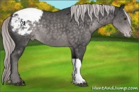Horse Color:Platinum Chocolate Palomino Snowcap Rabicano 