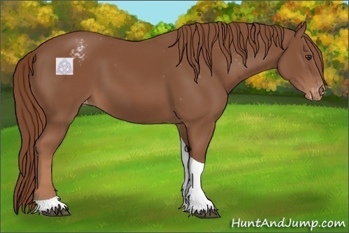 Horse Color:Chestnut Tobiano Varnish