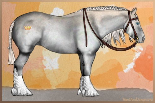 Horse Color:White Spotted Cremello 