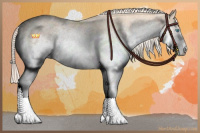 Horse Color:White Spotted Cremello 