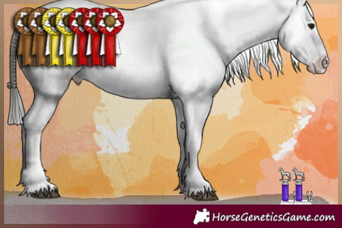 Horse Color:Buckskin Tobiano Appaloosa 