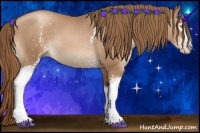 Horse Color:White Spotted Liver Chestnut Pearl Sabino 