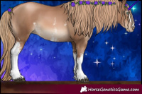 Horse Color:White Spotted Liver Chestnut Pearl Sabino 