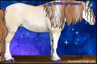 Horse Color:Sable Champagne Pearl Dun Sabino Rabicano