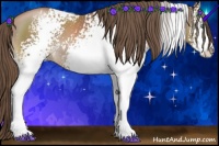 Horse Color:White Spotted Black Pearl Sabino 