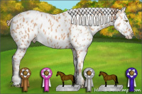 Horse Color:Gold Champagne Appaloosa and Gold Champagne Appaloosa