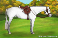 Horse Color:Gray Silver Black 