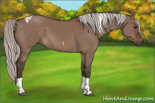 Horse Color:Silver Brown Dun Sabino Tobiano