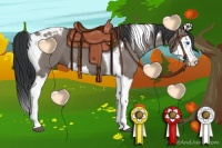 Horse Color:Grullo Splash Tobiano 