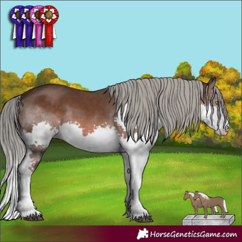 Horse Color:Liver Chestnut Mushroom Splash