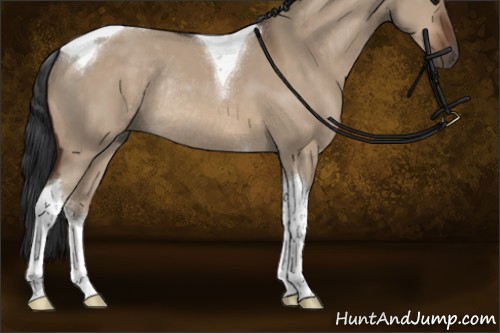 Horse Color:Brown Dun Sabino Tobiano Rabicano