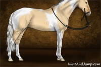 Horse Color:Silver Buckskin Dun Tobiano 