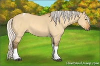 Horse Color:Silver Buckskin Dun Tobiano 