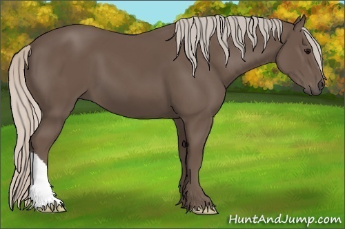 Horse Color:Silver Black 