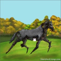 Horse Color:Blue Roan
