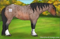 Horse Color:Bay Roan Tobiano 