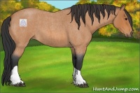Horse Color:Bay Roan Tobiano 