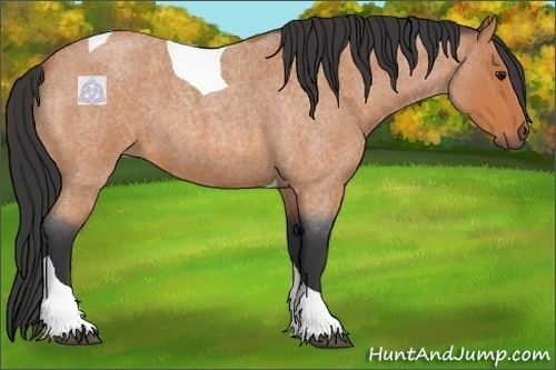 Horse Color:Bay Roan Tobiano