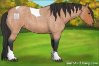 Horse Color:Bay Roan Tobiano 
