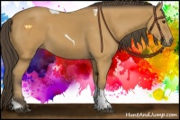 Horse Color:Buckskin Sabino Tobiano 