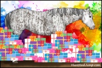 Horse Color:Grullo Sabino Splash  and White Spotted Grullo Sabino Splash 