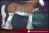 Horse Color:Silver Black Splash Rabicano