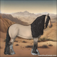 Horse Color:Brown Dun 