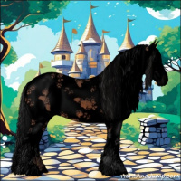 Horse Color:Void Bay Sabino Splash Rabicano 