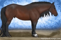 Horse Color:Brown 