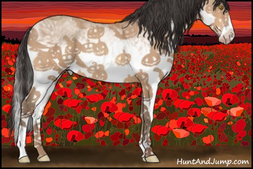 Horse Color:White Spotted Amber Champagne Splash 